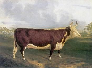 unknow artist Cow 145 China oil painting art